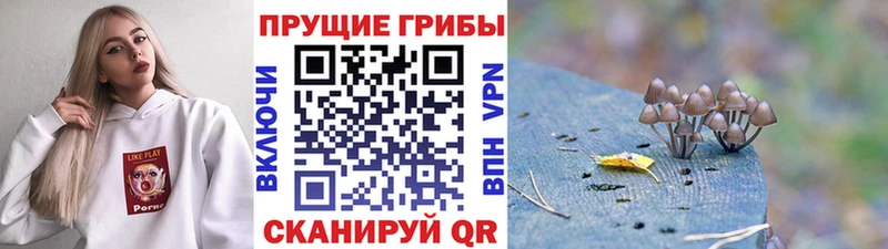 Псилоцибиновые грибы мицелий Алупка